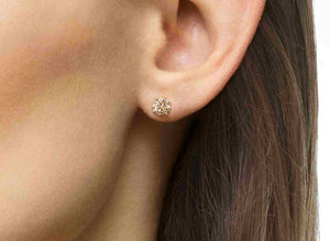 Diana Champagne Diamond Stud Earrings in 18k White Gold Vermeil